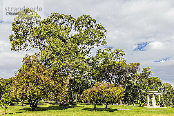 Australien  Südaustralien  Adelaide  grüne Bäume in den Angas Gardens mit dem Angas Family Memorial im Hintergrund