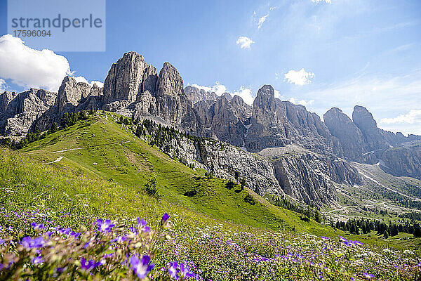 Italien  Südtirol  malerische Aussicht auf die Sellagruppe im Grödner Joch im Sommer