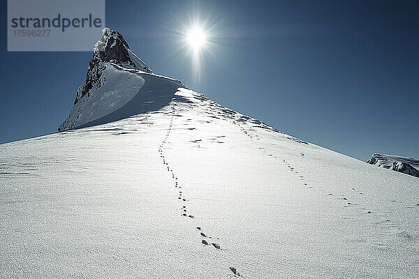 Hasenspuren entlang schneebedeckter Gipfel im Rofangebirge