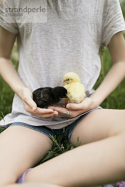 Mädchen mit Hühnerbabys auf dem Bauernhof