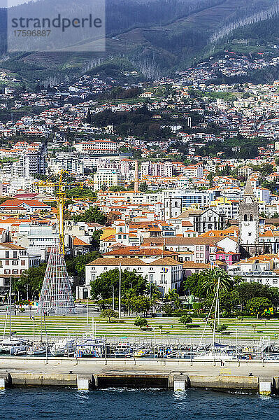 Portugal  Madeira  Funchal  Hafen einer Küstenstadt mit Gebäuden am Hang im Hintergrund