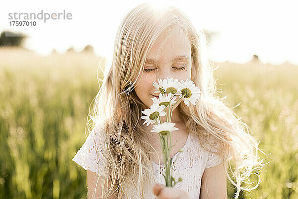 Blondes Mädchen riecht frische Blumen im Feld