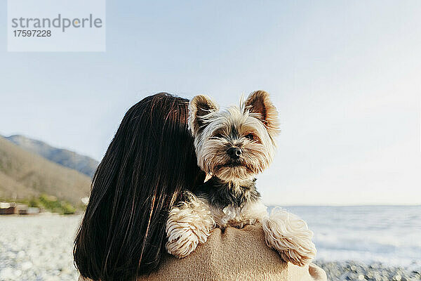 Brünette Frau trägt Yorkshire Terrier am Strand