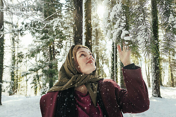 Fröhliche Frau berührt schneebedeckten Tannenbaum im Wald