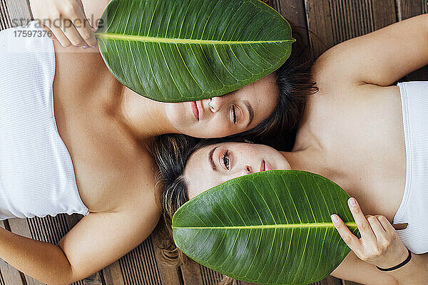 Young women covering eyes with green leaves