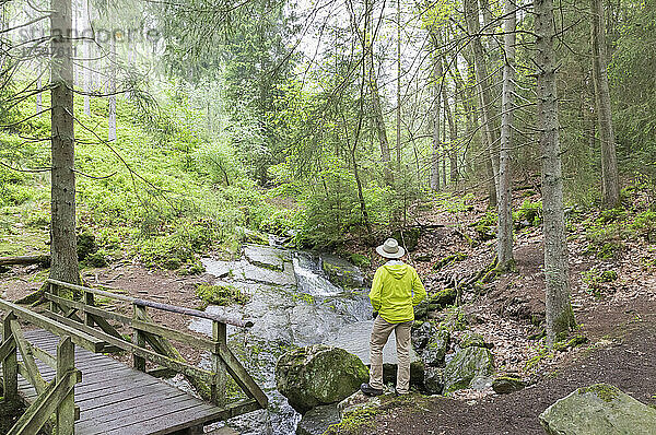 Älterer Mann steht an der Fußgängerbrücke und blickt auf die Rur im Naturpark Eifel  Monschau  Deutschland