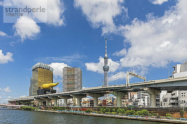 Japan  Kanto-Region  Tokio  Blick auf den Metropolitan Expressway  die Asahi Beer Hall und den Tokyo Skytree