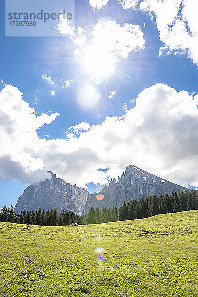 Italien  Südtirol  Seiser Alm-Plateau an einem sonnigen Sommertag