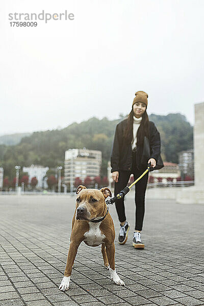 Junge Frau geht mit Hund auf Fußweg spazieren
