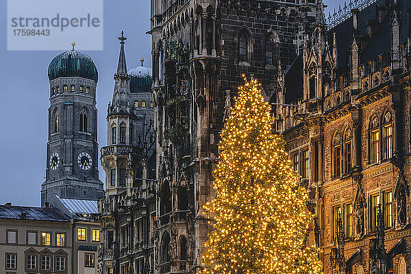 Deutschland  Bayern  München  Weihnachtsbaum leuchtet in der Abenddämmerung auf dem Marienplatz  im Hintergrund der Dom zu Unserer Lieben Frau und das Rathaus