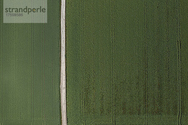 Drone view of dirt road stretching through green countryside field