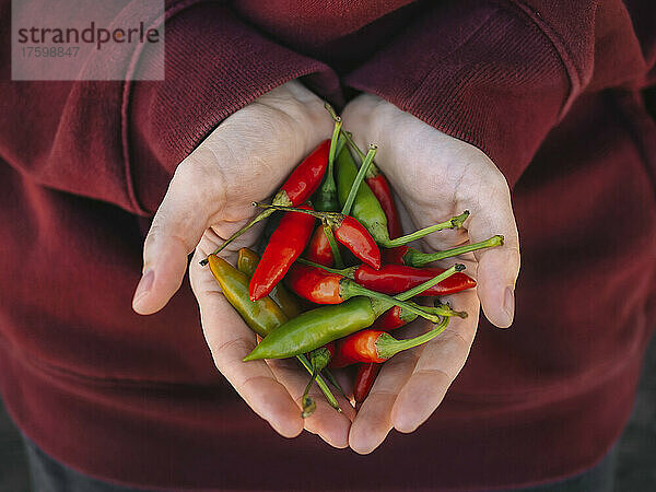 Frau mit gewölbten Händen hält frische rote und grüne Chilis