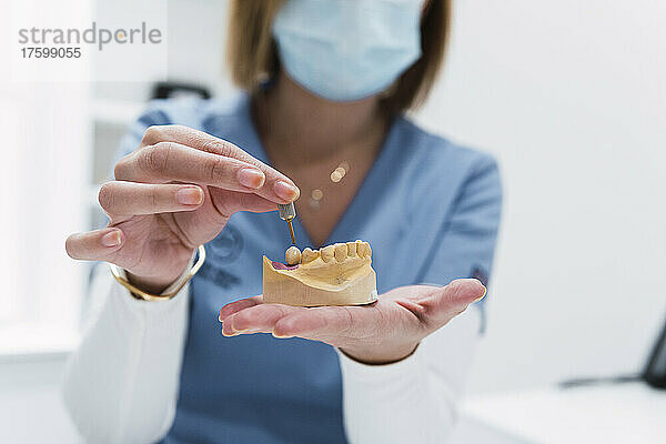 Zahnarzt hält Zahnersatz in der medizinischen Klinik
