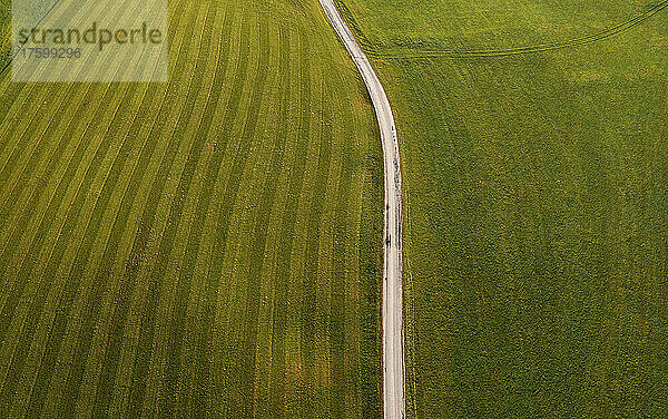 Drone view of countryside dirt road stretching between green mowed fields