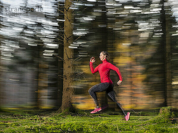 Active young woman jogging in forest