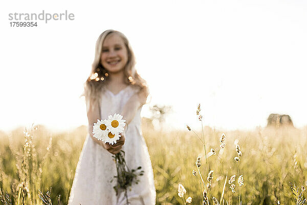 Mädchen hält weißes Gänseblümchen im Feld