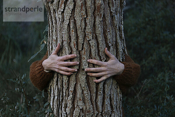 Frauenhände umarmen Baum im Wald