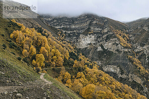 Russland  Dagestan  bewaldeter Bergrücken im Herbst