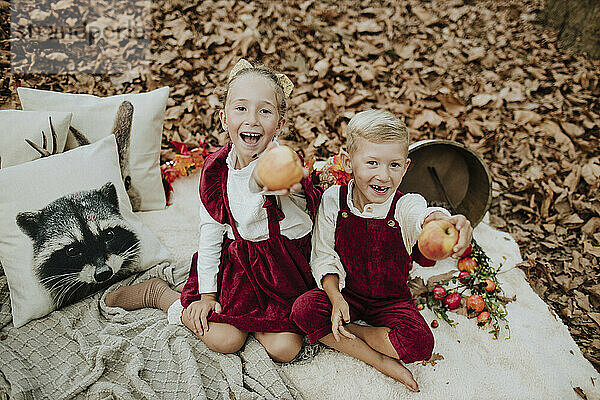 Glücklicher Bruder und Schwester zeigen Äpfel beim Picknick im Wald