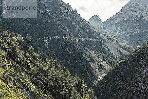 Schöne Aussicht auf das Lechtal  Pfafflar  Tirol  Österreich