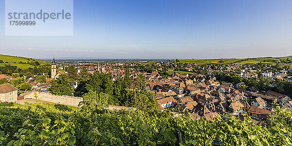 Frankreich  Elsass  Ribeauville  Panoramablick auf die ländliche Stadt im Sommer
