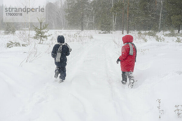 Verspielte Zwillingsbrüder laufen im verschneiten Wald