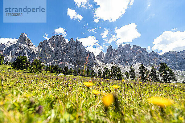 Italien  Südtirol  malerischer Blick auf die Geislergruppe im Sommer