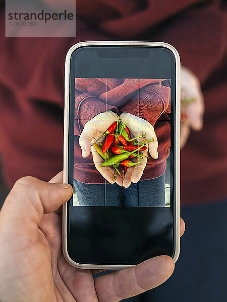 Man photographing woman holding chilies through smart phone