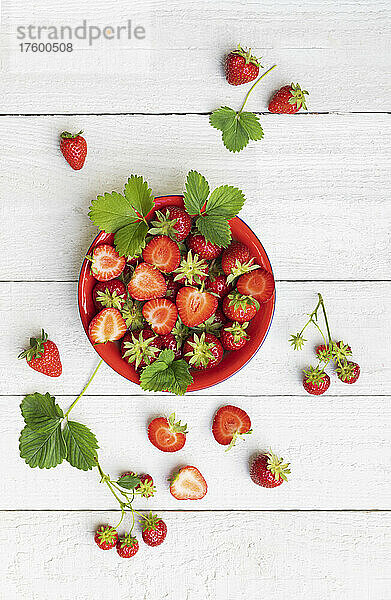 Studioaufnahme einer Schüssel mit reifen  frisch gepflückten Erdbeeren