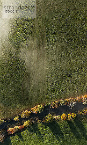Drone view of countryside field and treelined river at foggy autumn morning