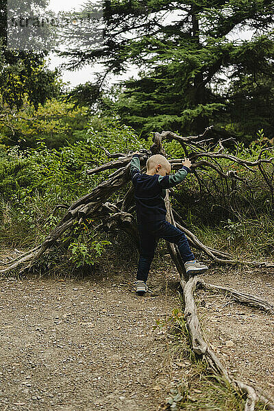 Playful boy climbing fallen tree in forest  Crimea