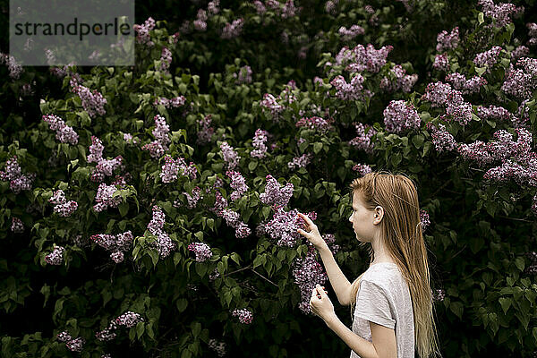 Mädchen berührt lila Blumen in der Natur