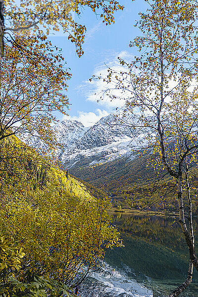 Herbstbäume mit schneebedeckten Bergen im Hintergrund  Naturschutzgebiet Kaukasus  Sotschi  Russland