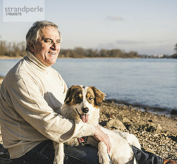 Smiling senior man with dog sitting at beach on sunny day