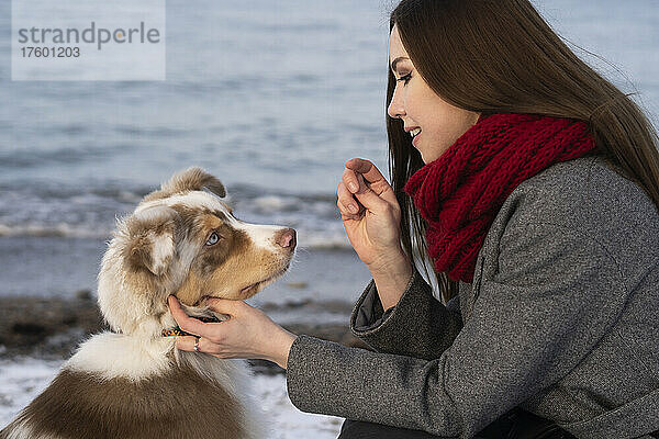 Young woman stroking dog at beach