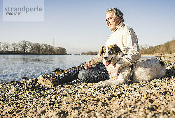 Smiling man holding stick sitting with dog at beach on sunny day