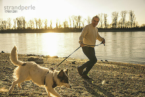 Glücklicher älterer Mann hält Haustierleine und läuft mit Hund am Strand bei Sonnenuntergang