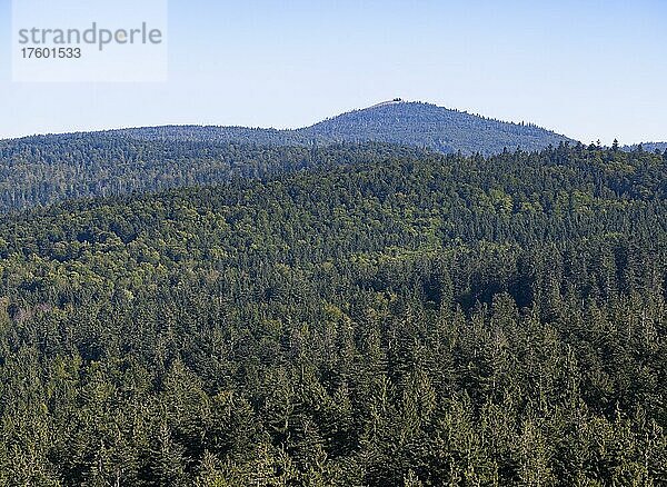 Ausblick vom Baumwipfelpfad  hinten der Lusen  Bayerischer Wald  Bayern  Deutschland  Europa