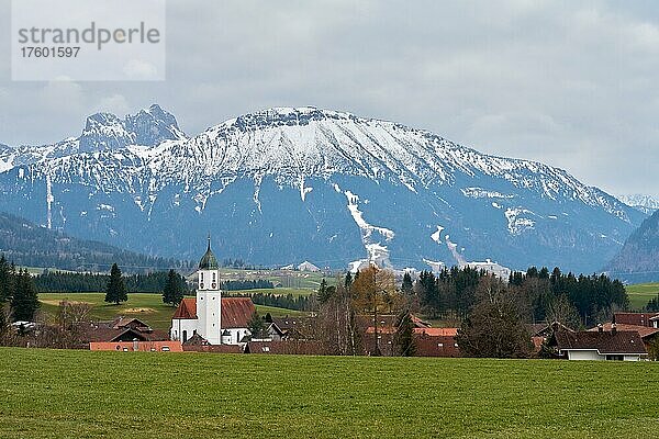 Bergpanorama von Eisenberg aus  Oberbayern  Bayern  Deutschland  Zell  Eisenberg  Bayern  Deutschland  Europa