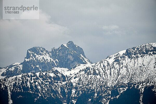 Bergpanorama von Eisenberg aus  Oberbayern  Bayern  Deutschland  Zell  Eisenberg  Bayern  Deutschland  Europa