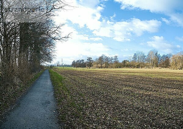 Brachliegendes Feld im Januar  Ronnenberg  Niedersachsen  Deutschland  Europa