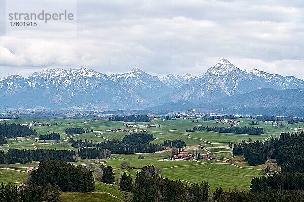 Bergpanorama von Eisenberg aus mit Säuling und Königsschlösser  Oberbayern  Bayern  Deutschland  Pröbsten  Eisenberg  Bayern  Deutschland  Europa