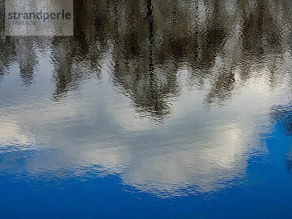 Bäume und Wolken am blauen Himmel spiegeln sich im Wasser der Kiesgrube Denstorf bei Braunschweig  Vechelde  Niedersachsen  Deutschland  Europa