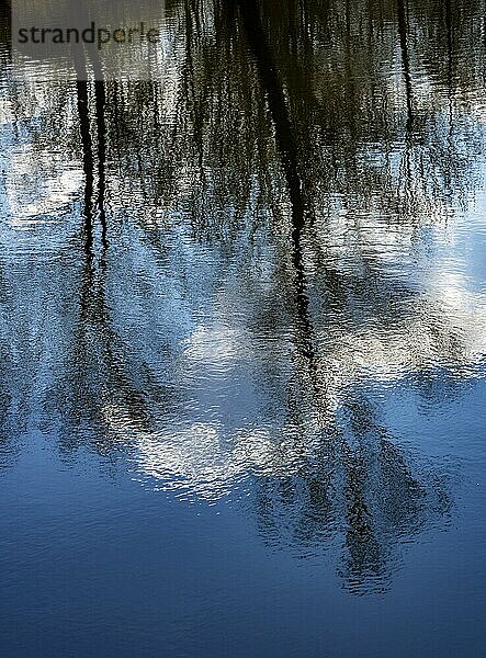 Bäume und Wolken am blauen Himmel spiegeln sich im Wasser der Kiesgrube Denstorf bei Braunschweig  Vechelde  Niedersachsen  Deutschland  Europa