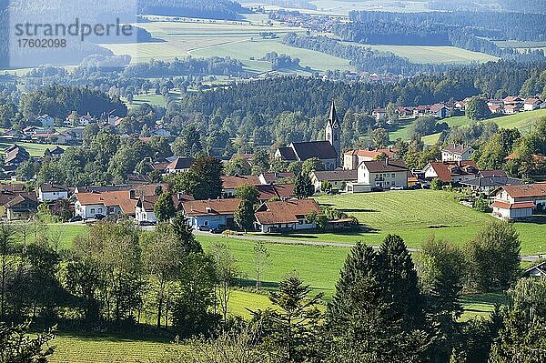 Ausblick vom Baumwipfelpfad auf den Ort Neuschönau  Bayerischer Wald  Bayern  Deutschland  Europa