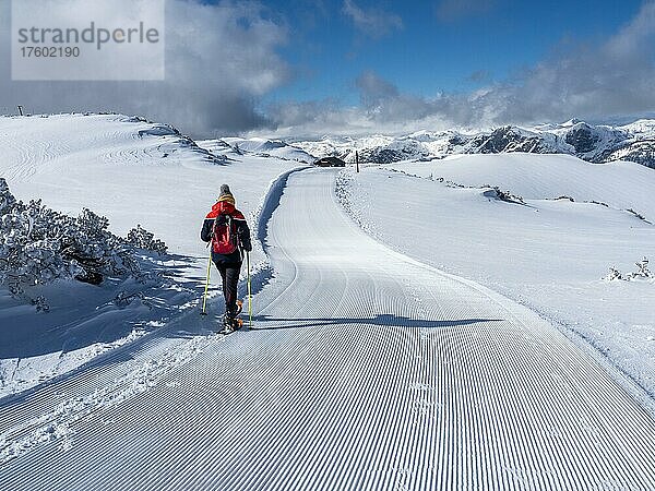 Winterlandschaft  Schneeschuhwanderin auf dem Weg zum Lawinenstein  Tauplitzalm  Steiermark  Österreich  Europa