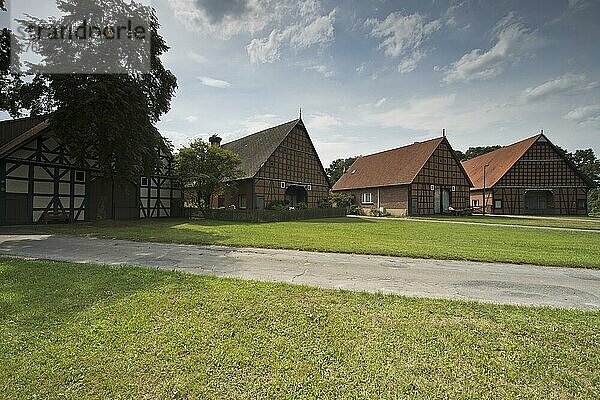 Rundlingsdorf Schreyahn  Niedersachsen  Deutschland  Europa