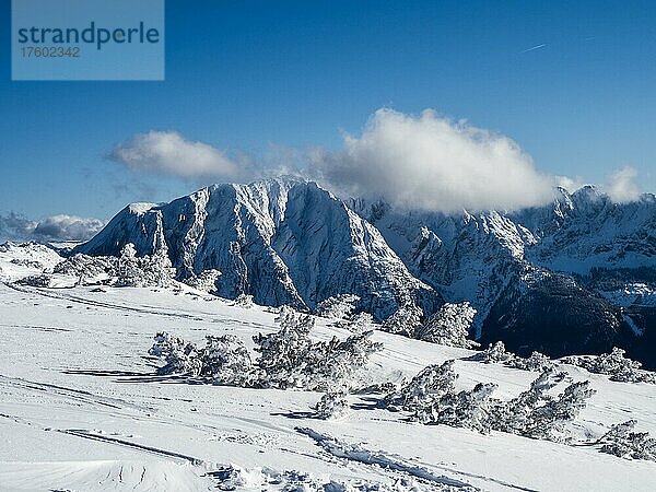Blauer Himmel über Winterlandschaft  schneebedeckte Gipfel vom Grimming Massiv  Ausblick vom Lawinenstein  Tauplitzalm  Steiermark  Österreich  Europa