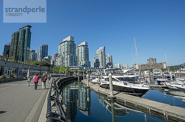 Boote im Yachthafen  Hochhäuser an der Promenade  Coal Harbour  Vancouver  British Columbia  Kanada  Nordamerika