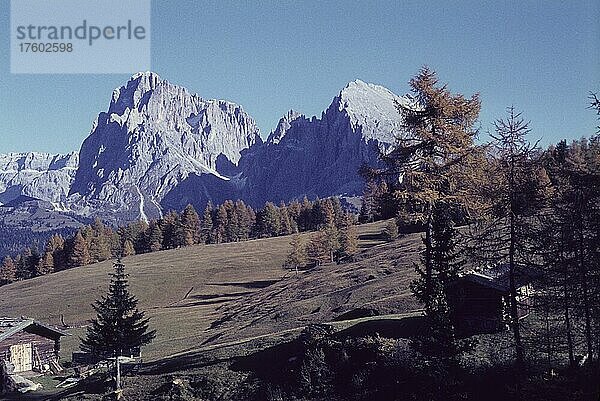 Seiser Alm  Langkofelgruppe  Sellamassiv  Südtirol  Italien  Sechziger Jahre  Europa